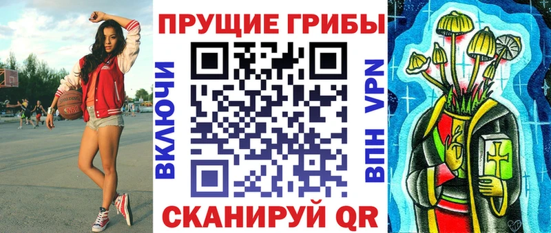Псилоцибиновые грибы Psilocybe mega как зайти Малоархангельск